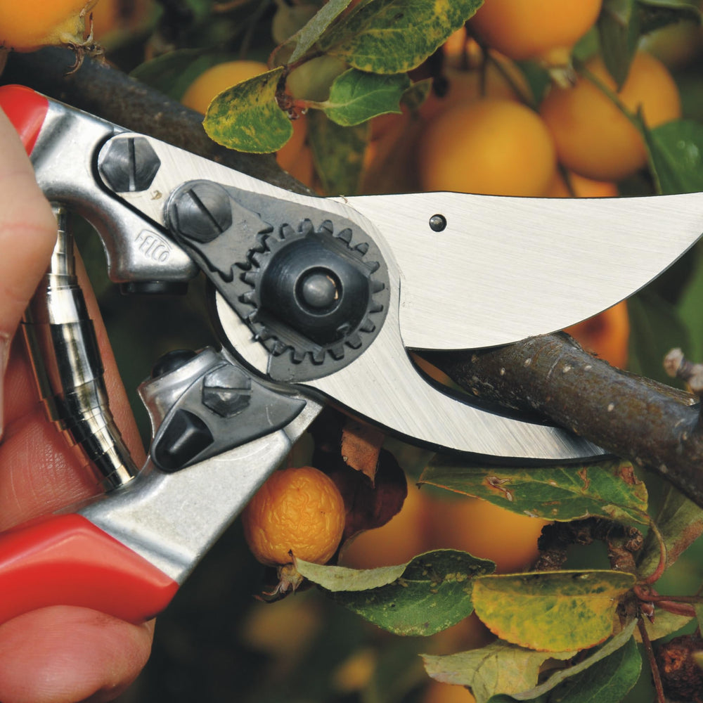 FELCO F9 beside ruler showing 8.3-inch scale and 1-inch cutting capacity