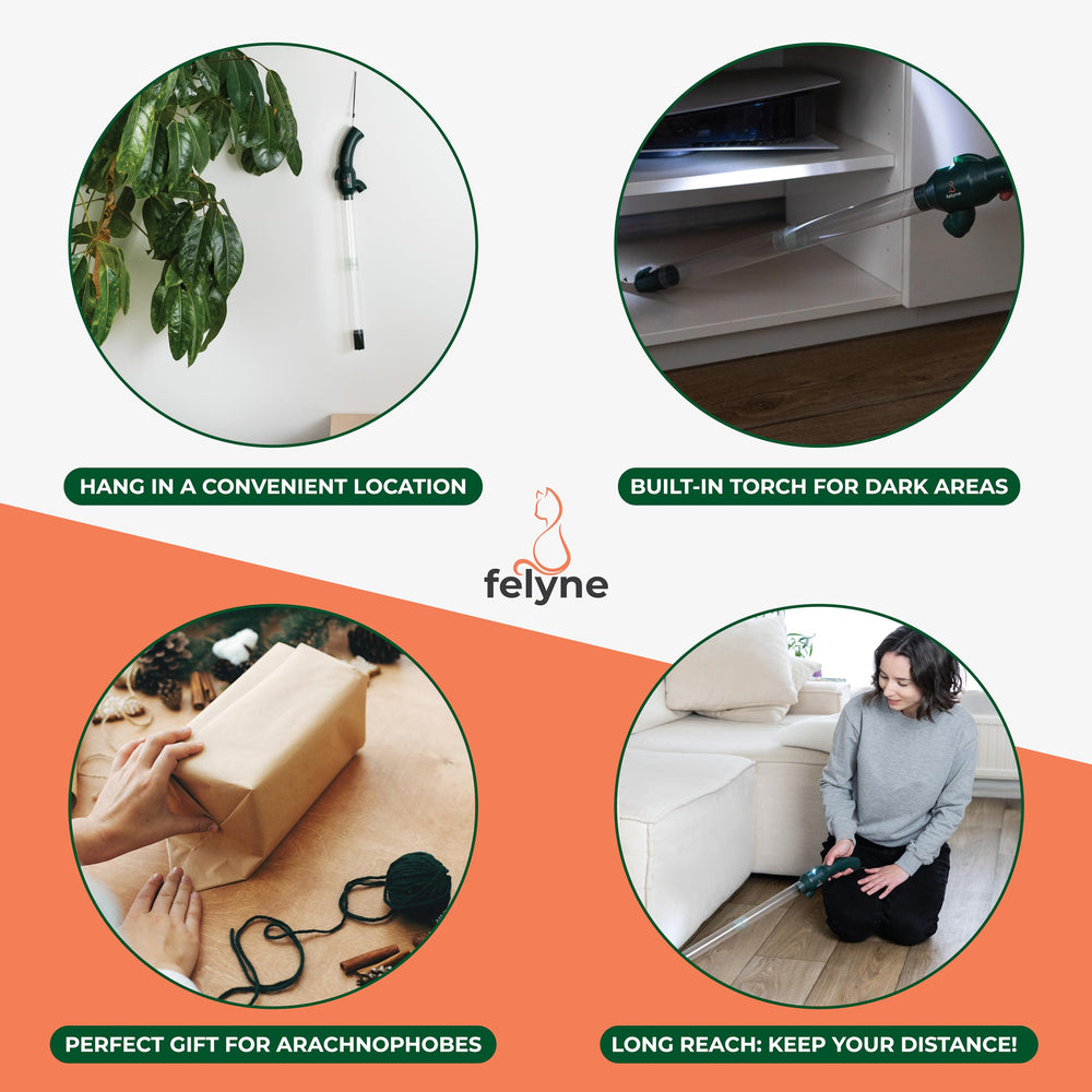 felyne outdoor patio use shows humane insect removal outside home