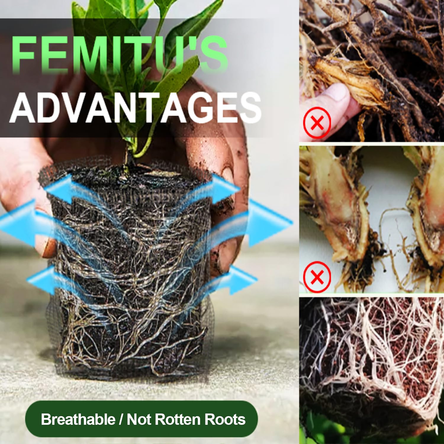 Femitu unfolded cylindrical basket ready to hold a 1-gallon plant