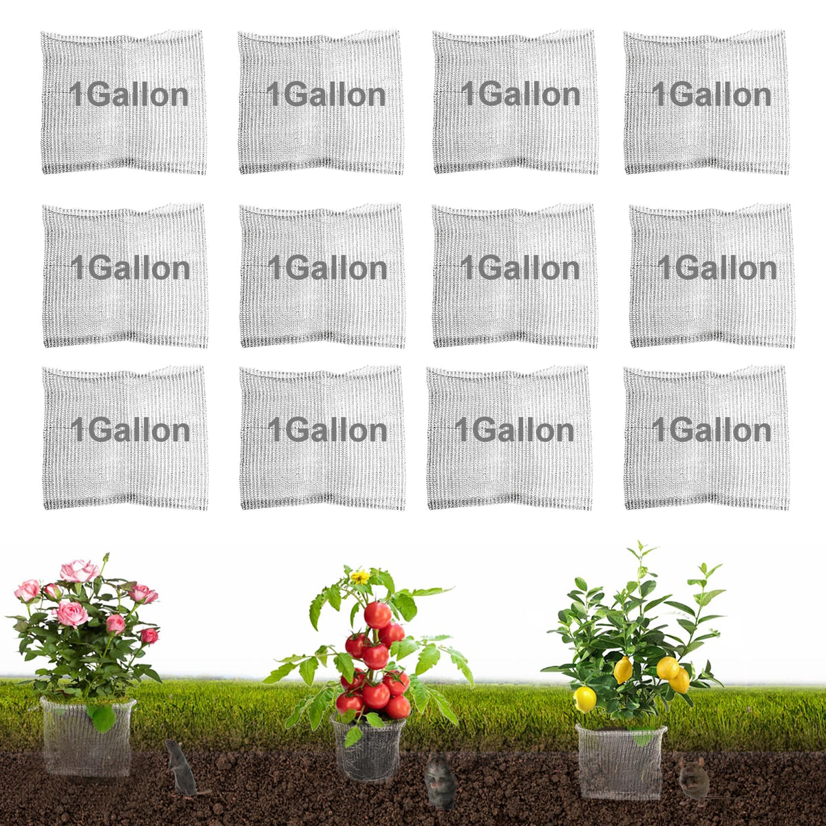 Femitu front view of 48-pack root guard baskets showing quantity protection
