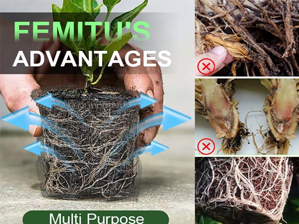 Femitu basket installed in soil protecting plant roots in-ground
