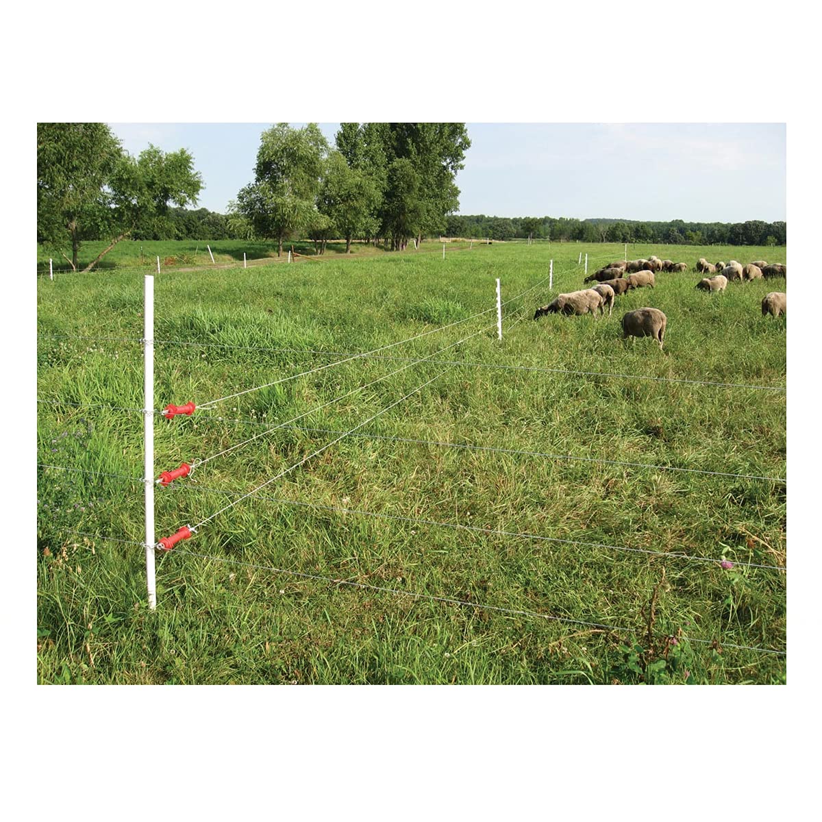 FENCE SHOCK post next to ruler shows 48-inch length and scale accuracy