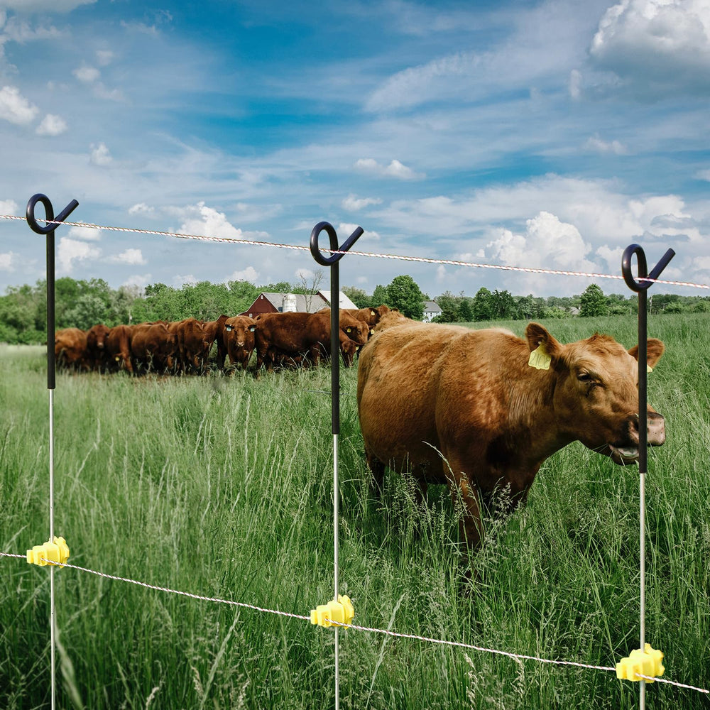 FENSMILE post beside ruler showing 41-inch length for correct fence height