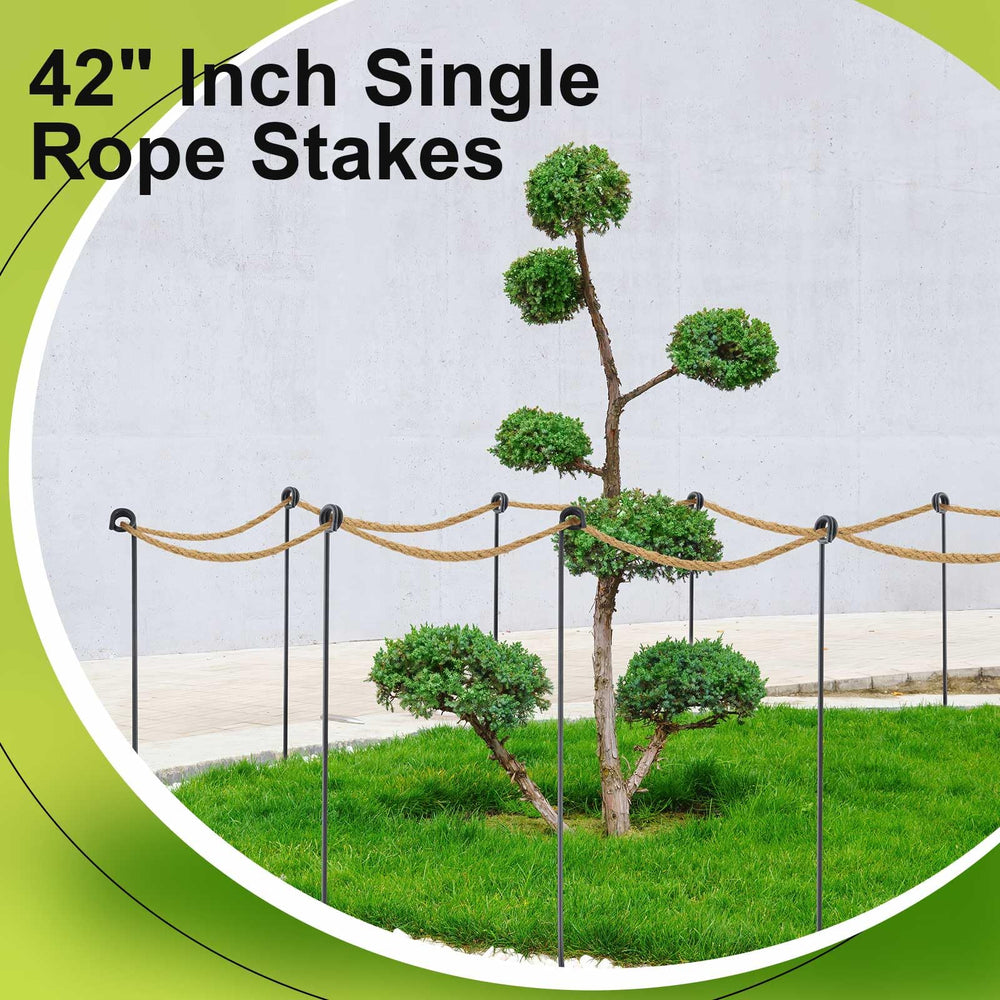 Ferraycle rope border along walkway showing tidy landscaping and crowd guidance benefit