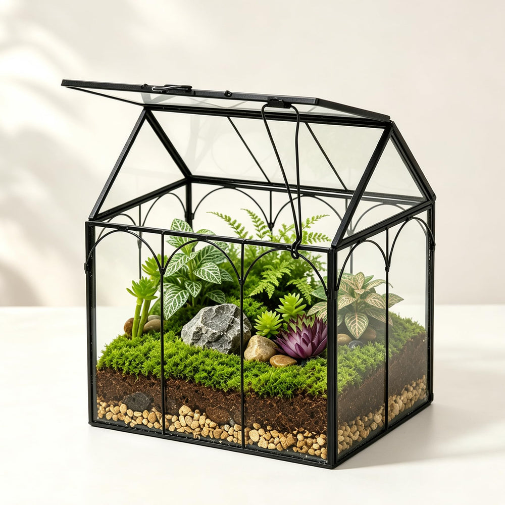 Ferrisland front view clear glass terrarium showcasing modern styling and visibility