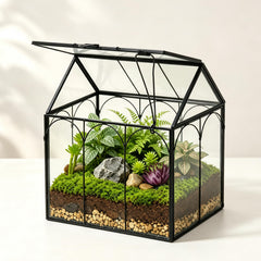 Ferrisland front view clear glass terrarium showcasing modern styling and visibility