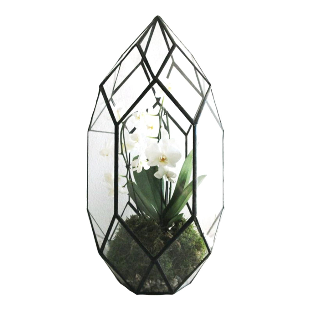 Ferrisland front view geometric terrarium showcasing compact succulents and clean lines
