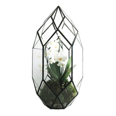 Ferrisland front view geometric terrarium showcasing compact succulents and clean lines