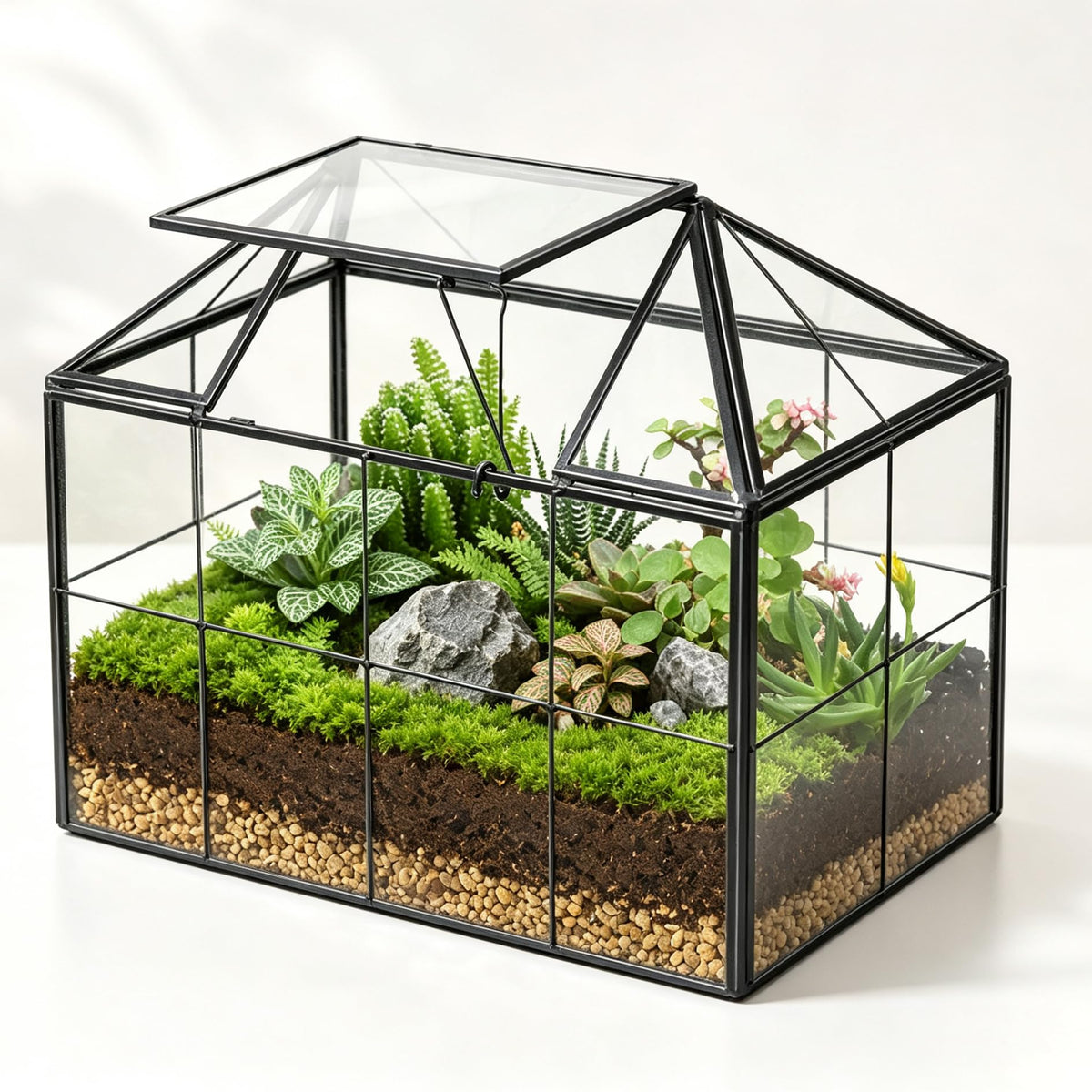 Ferrisland front view showing clear glass terrarium and brass frame, elegant display benefit