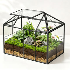 Ferrisland front view showing clear glass terrarium and brass frame, elegant display benefit