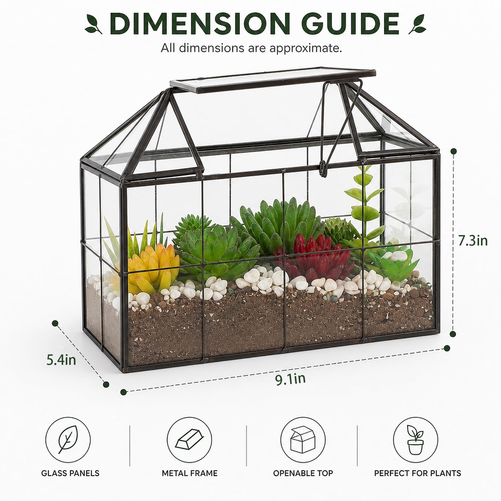 Ferrisland terrarium open roof demonstrating easy access for planting and maintenance benefit