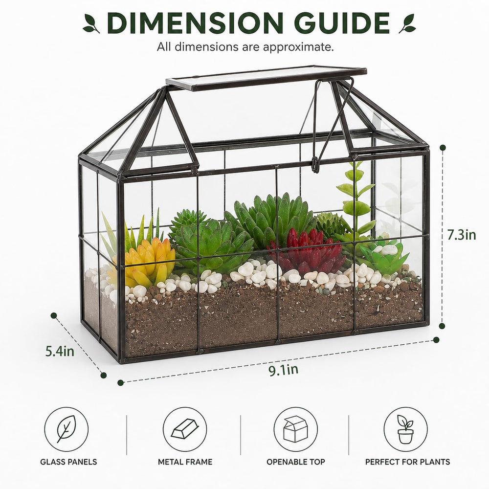 Ferrisland terrarium open roof demonstrating easy access for planting and maintenance benefit