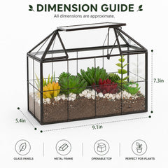 Ferrisland terrarium open roof demonstrating easy access for planting and maintenance benefit