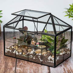 Ferrisland with small succulent on a desk showing decorative greenery brightening workspace benefit