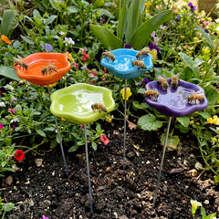 Ferrochef front view of four colorful watering cups showing garden benefit