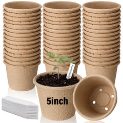 Ferrochef front pack of 30 peat pots showing quantity and benefit of ready-to-use starters