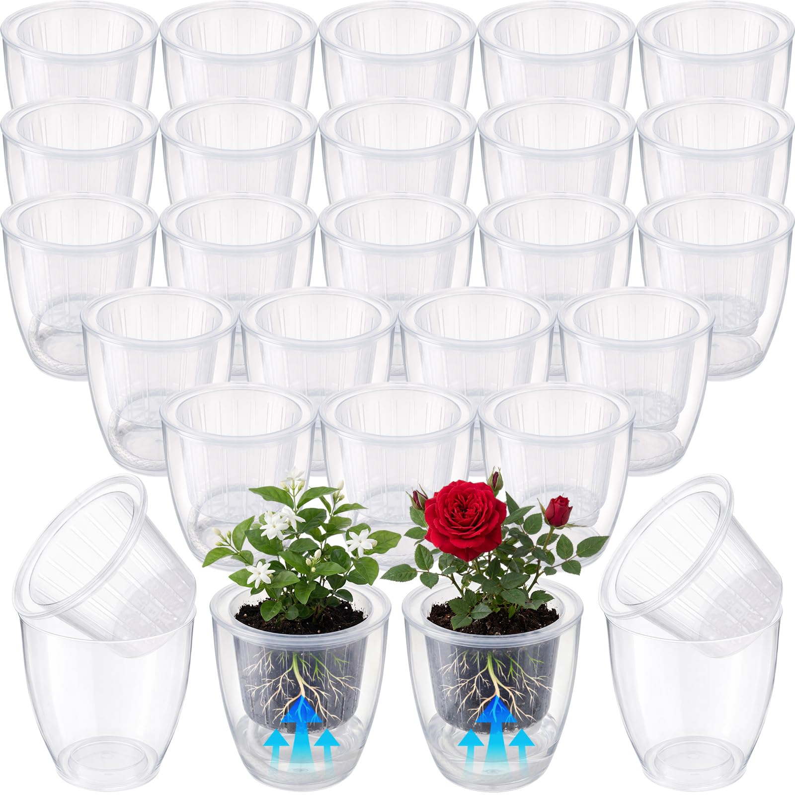 Ferrochef front view of clear self-watering pot showing modern look and practicality