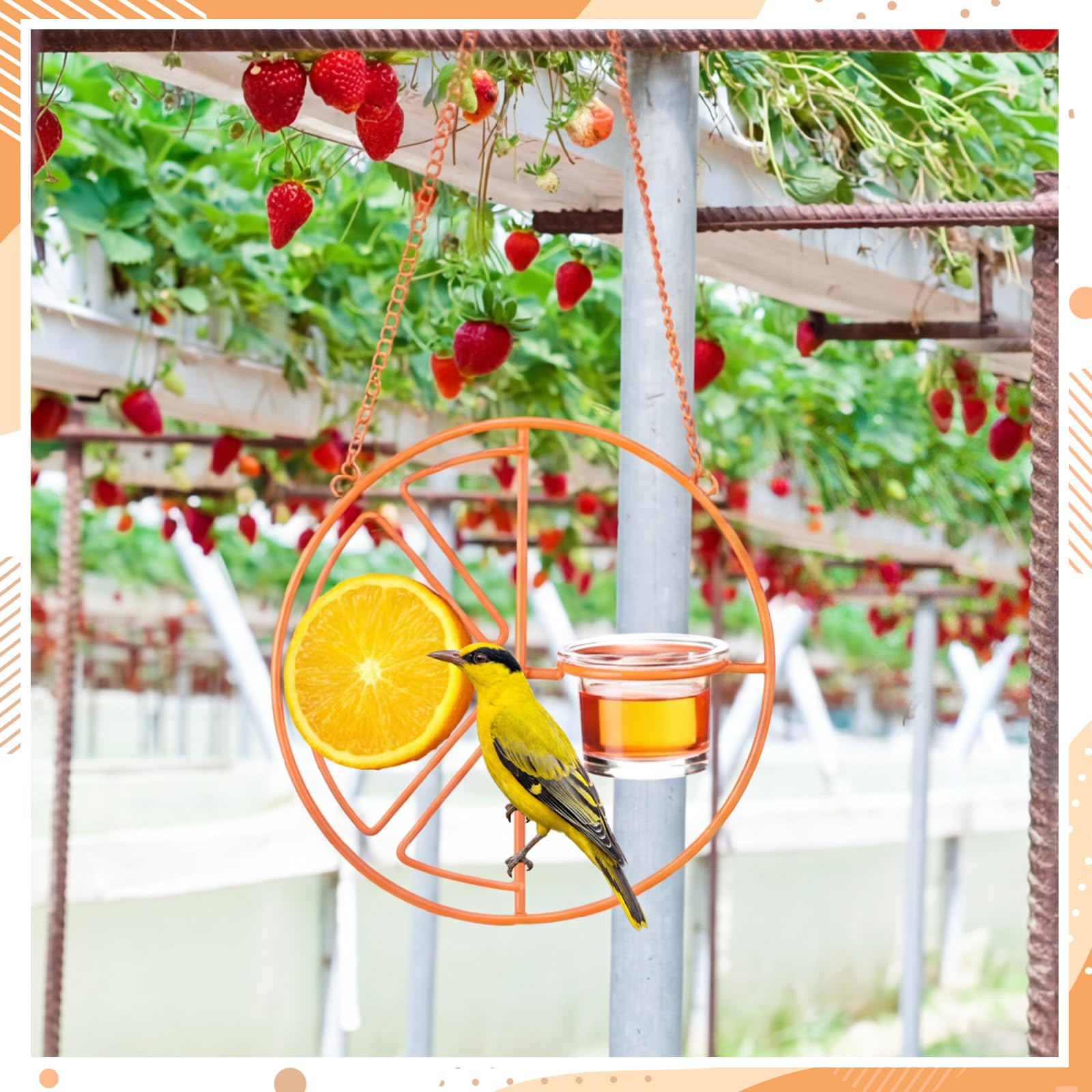 Ferrochef hanging on tree branch with hook showing effortless installation benefit