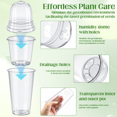 Ferrochef clear pot revealing healthy root growth and easy monitoring advantage