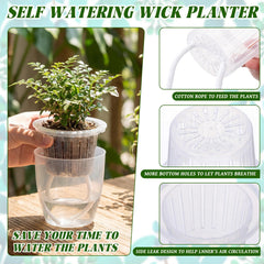 Ferrochef visible water-level reservoir highlighting easy refill guidance and convenience