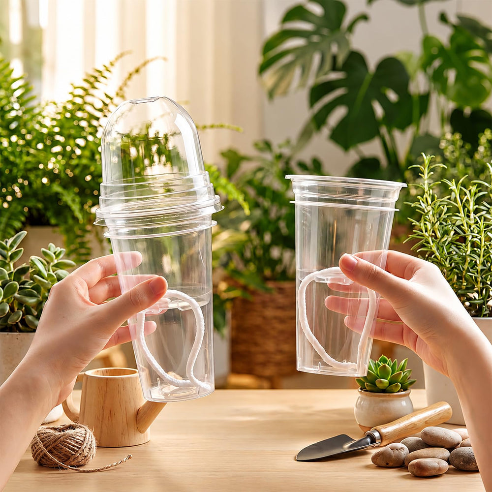 Ferrochef propagation kit on a windowsill showing bright indoor growing potential