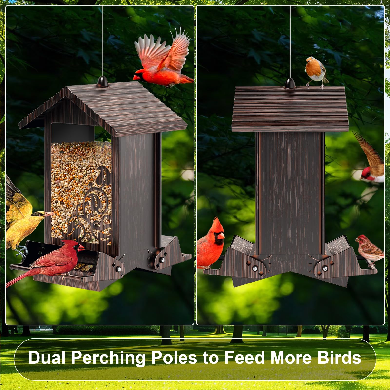 FETUSI feeder in garden with birds attracting songbirds for backyard viewing