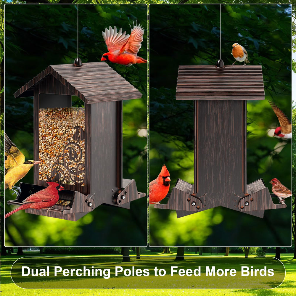 FETUSI feeder in garden with birds attracting songbirds for backyard viewing