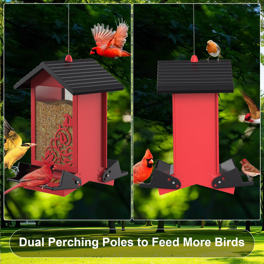 FETUSI hanging in garden scene showing attractive red feeder enhancing yard and inviting birds