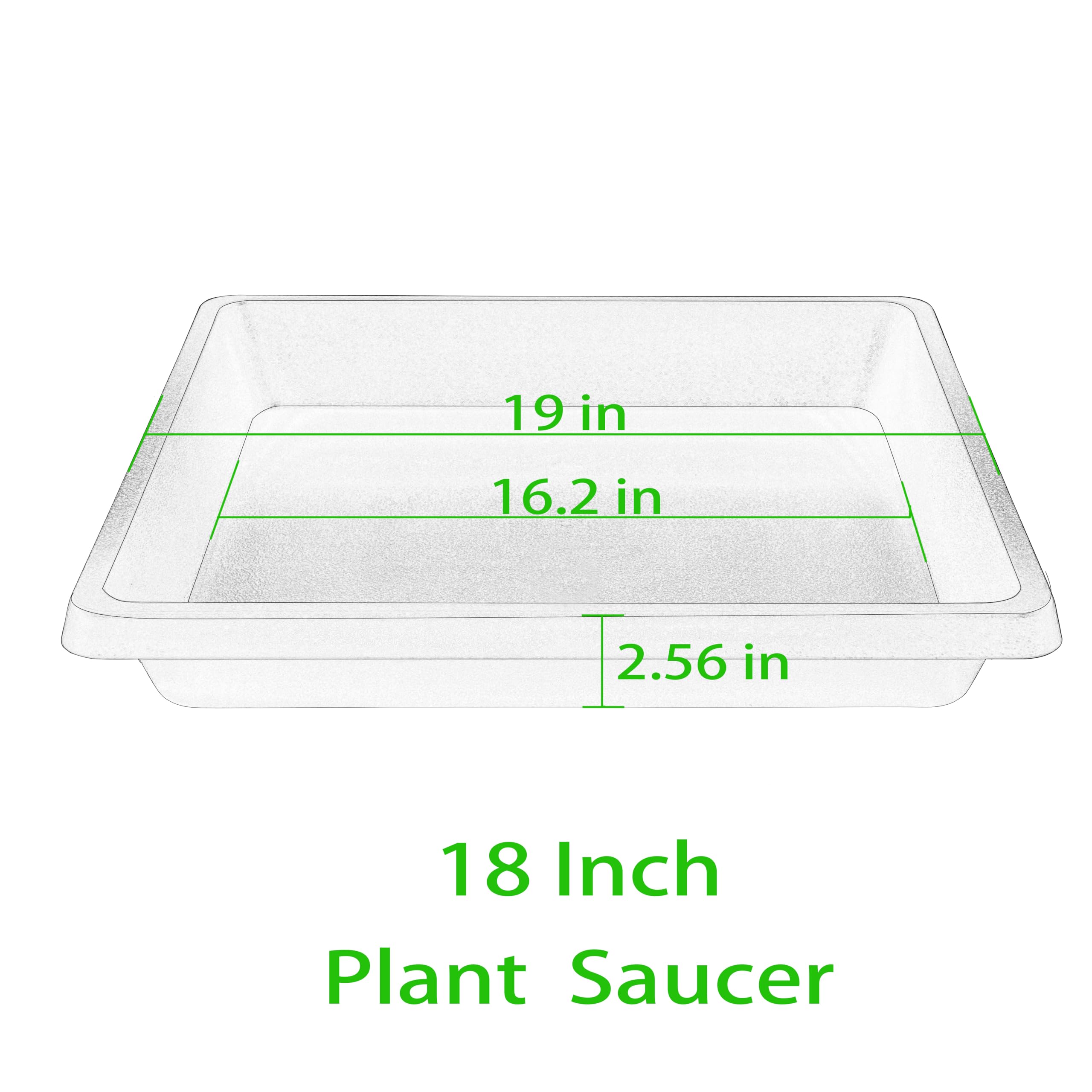 Feyvdzv close-up showing saucer depth and rim strength for water containment