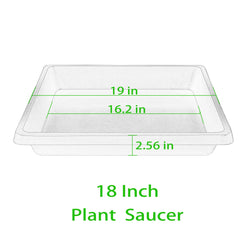 Feyvdzv close-up showing saucer depth and rim strength for water containment