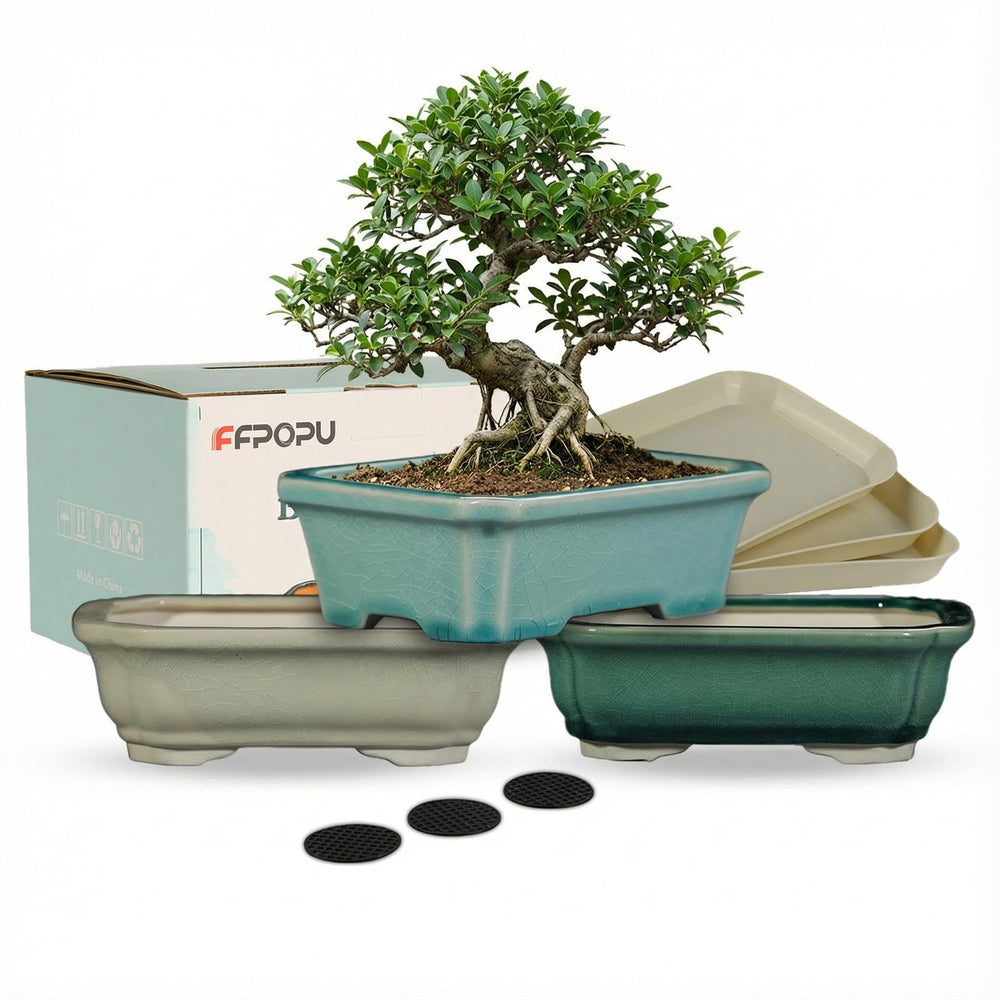 FFPOPU front view of three ceramic bonsai pots showing clean desktop styling and containment benefits
