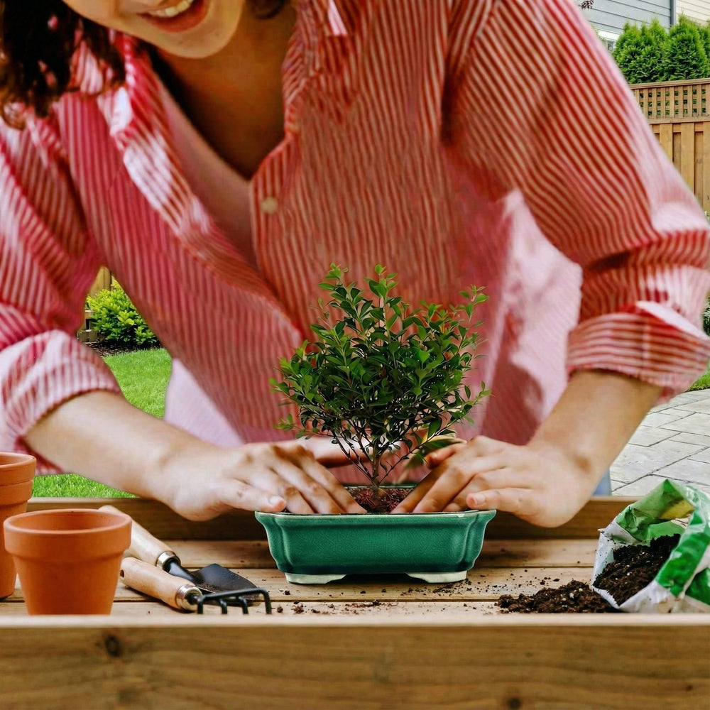 FFPOPU held in hand to show scale and portability for arranging multiple mini plants