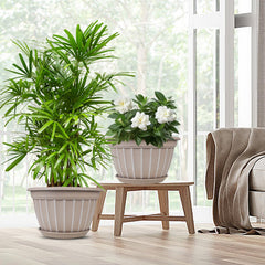 FGstyle patio scene with planted pot demonstrating outdoor use and decorative impact