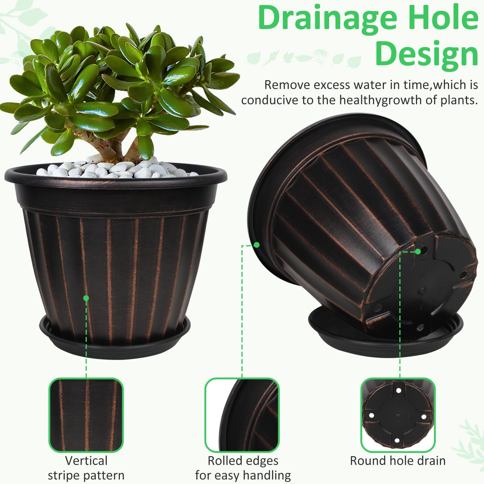 FGstyle planter with large houseplant showing root space and healthy growth support