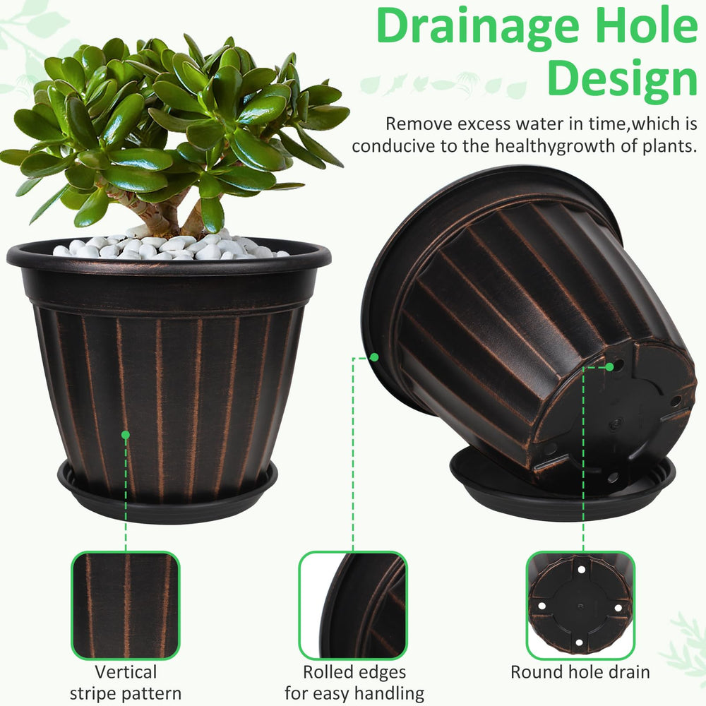 FGstyle planter with large houseplant showing root space and healthy growth support