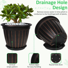 FGstyle planter with large houseplant showing root space and healthy growth support