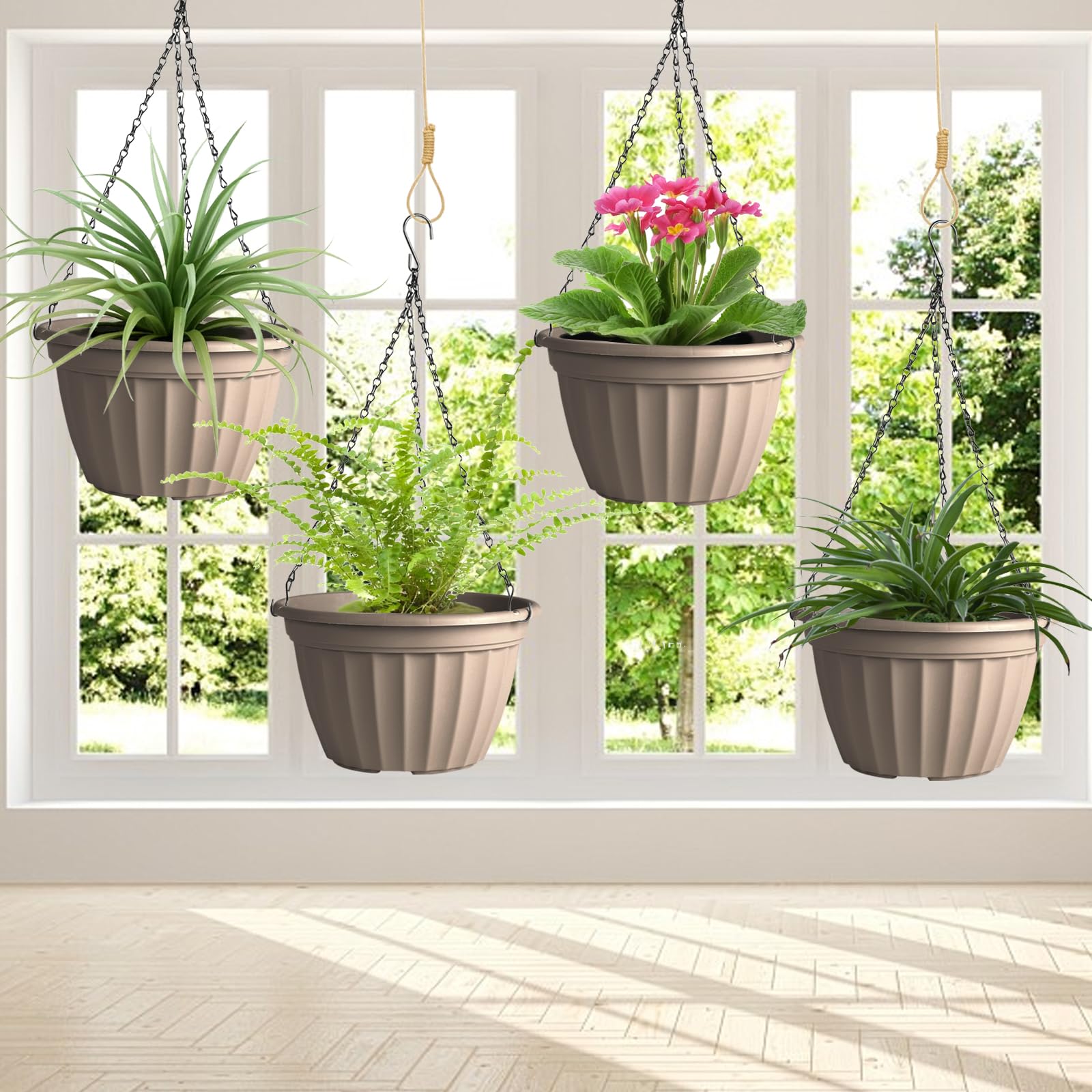 FGstyle planter hung with succulents demonstrating attractive display and space saving