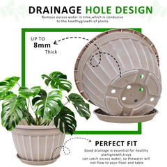 FGstyle top view showing drainage holes and saucer for healthy roots and clean floors
