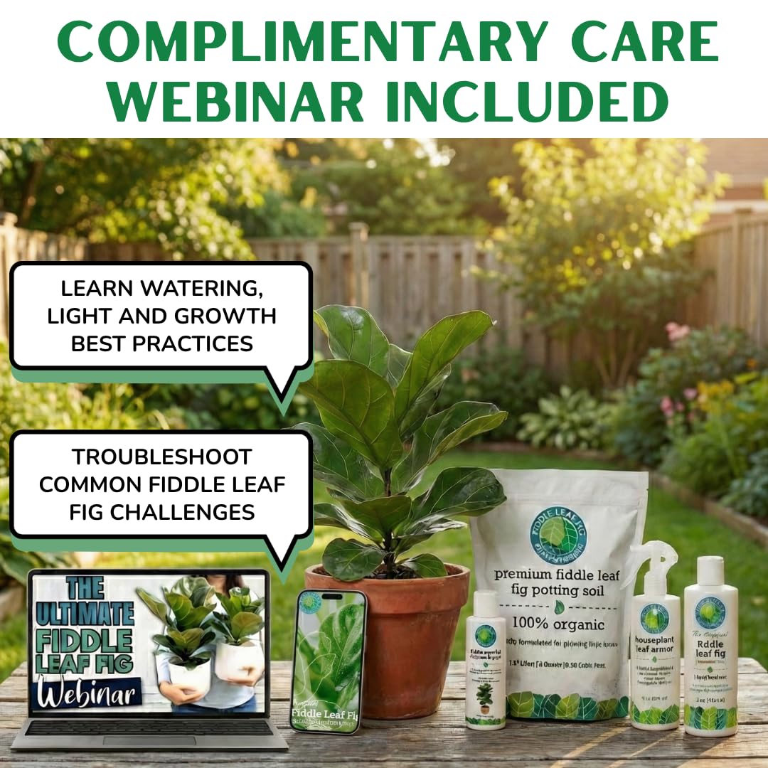 Fiddle Leaf Fig Plant Food ingredients spread out showing organic components benefit