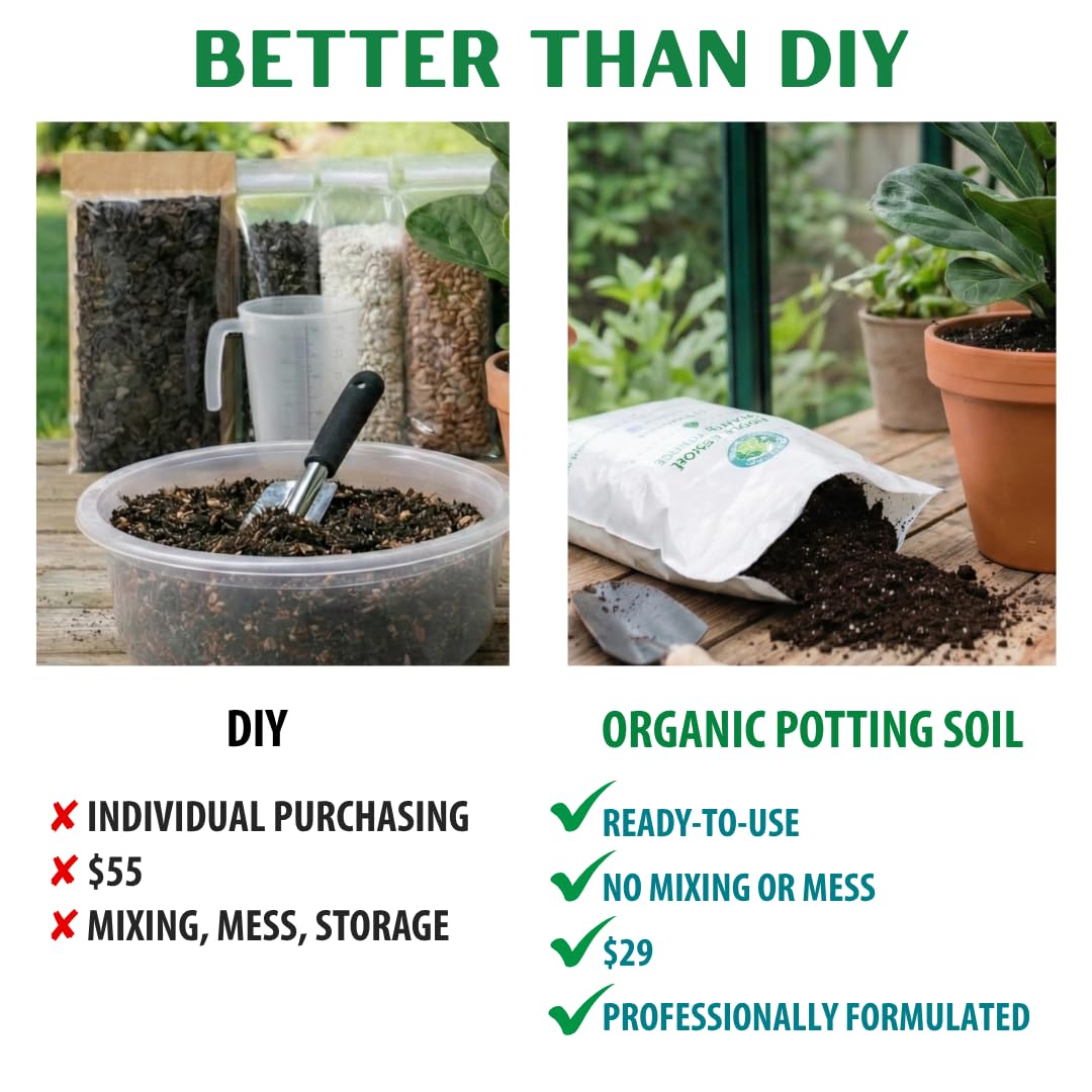 Fiddle Leaf Fig Plant Food staged on table showing quality small-batch benefit