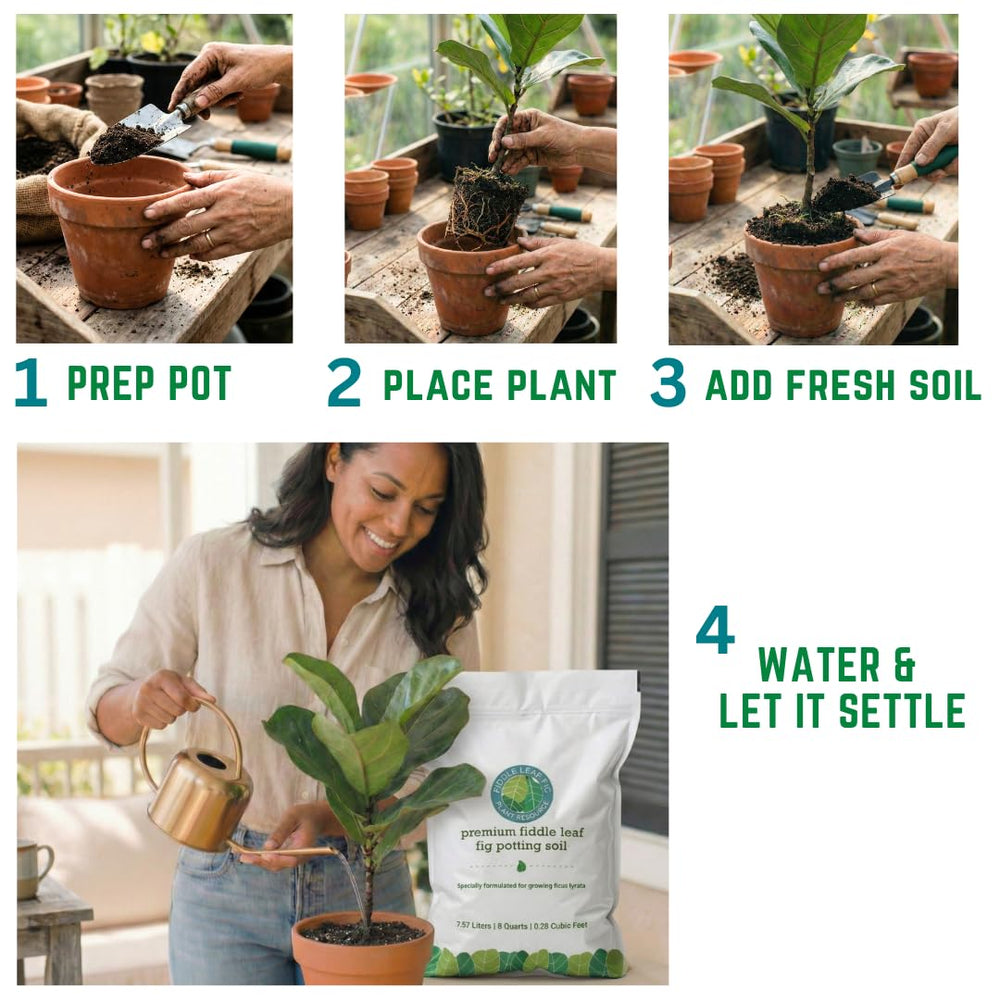 Fiddle Leaf Fig Plant Food label close-up showing ingredients and sustainable benefit