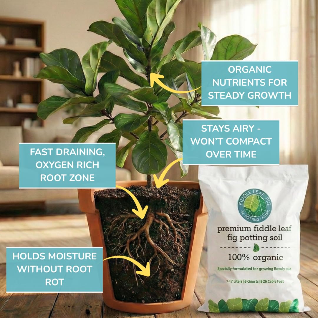 Fiddle Leaf Fig Plant Food chunky mix close-up highlighting airy texture benefits