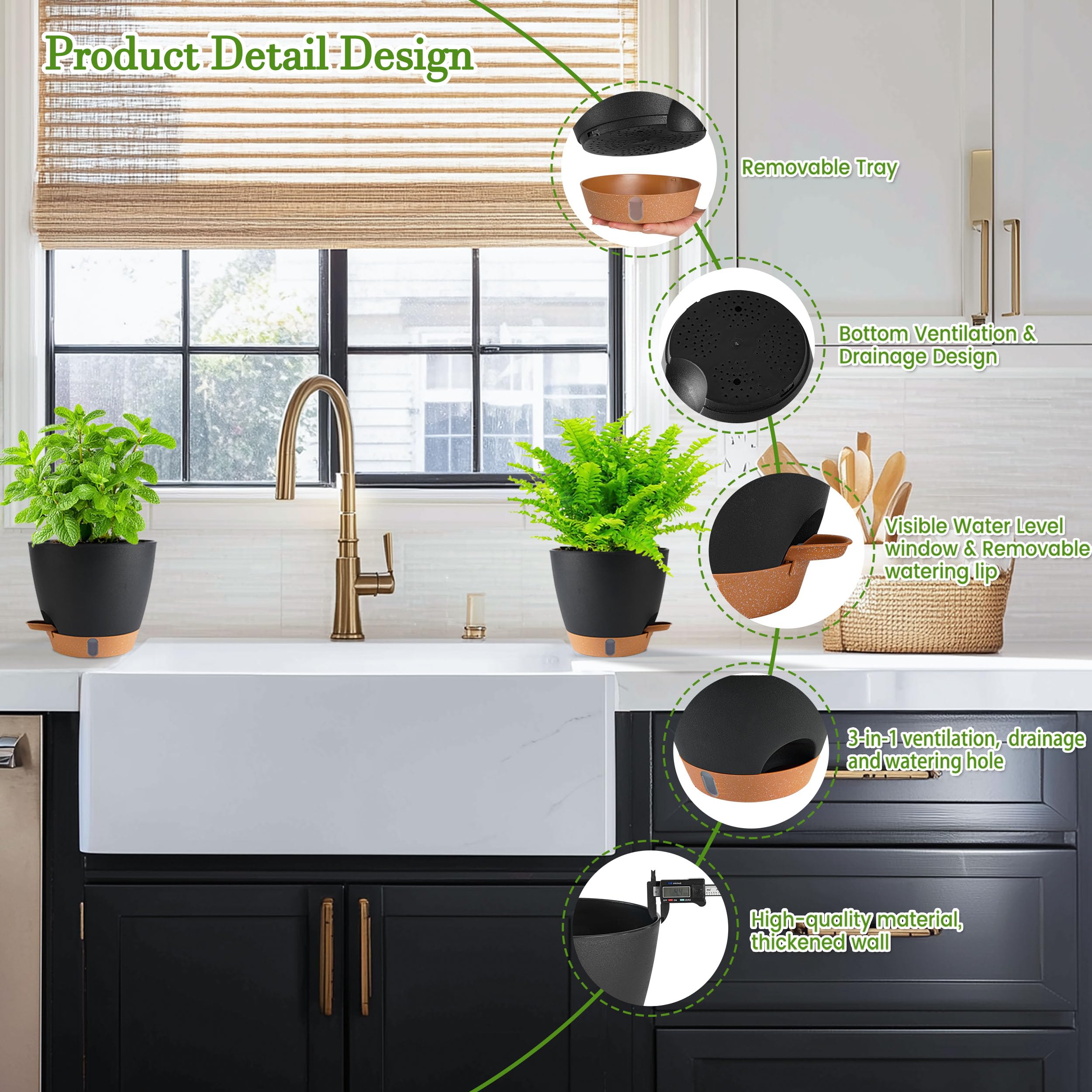 Fielda 10-inch planter size comparison showing scale and proper plant fit