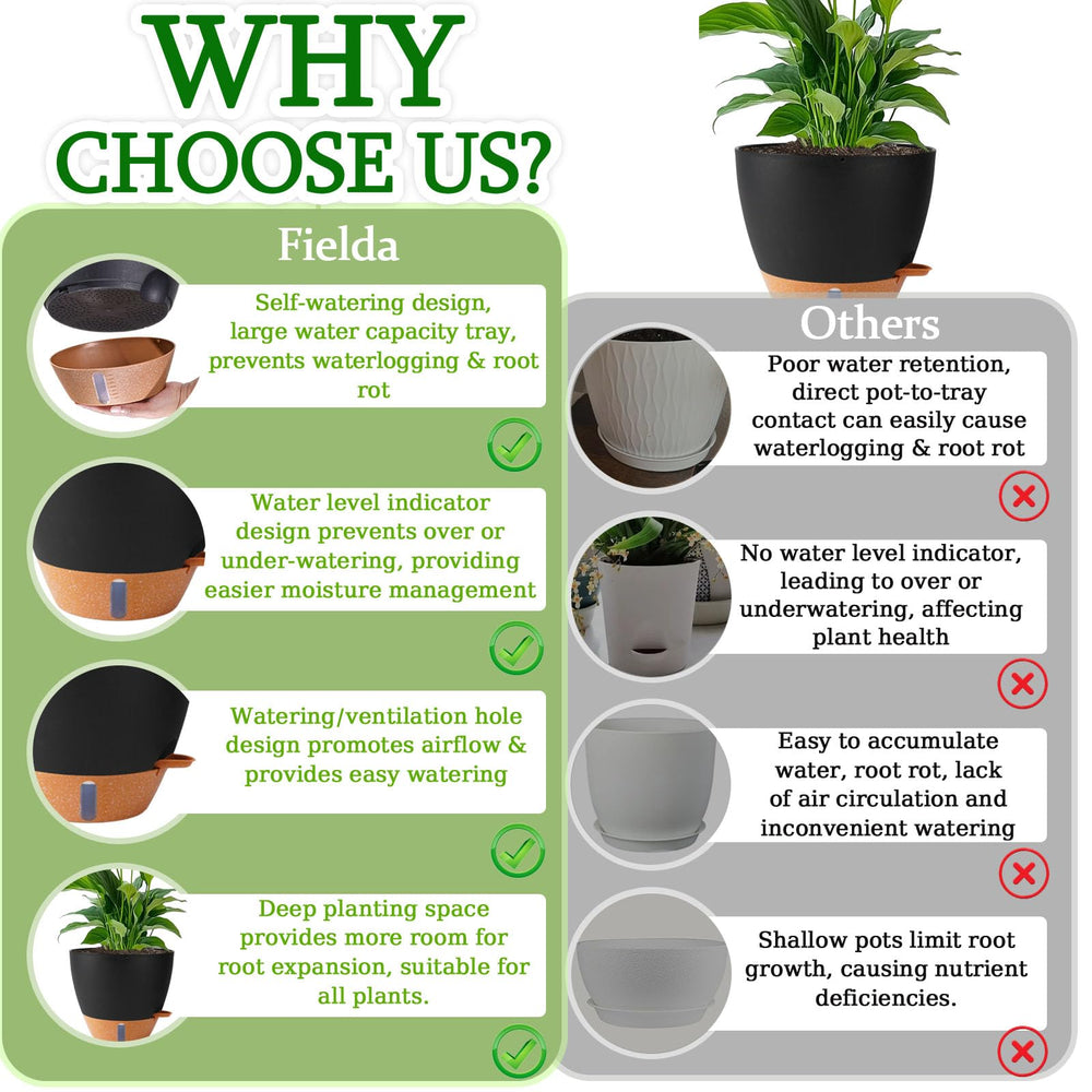 Fielda balcony herb garden using self-watering pots for consistent herbs