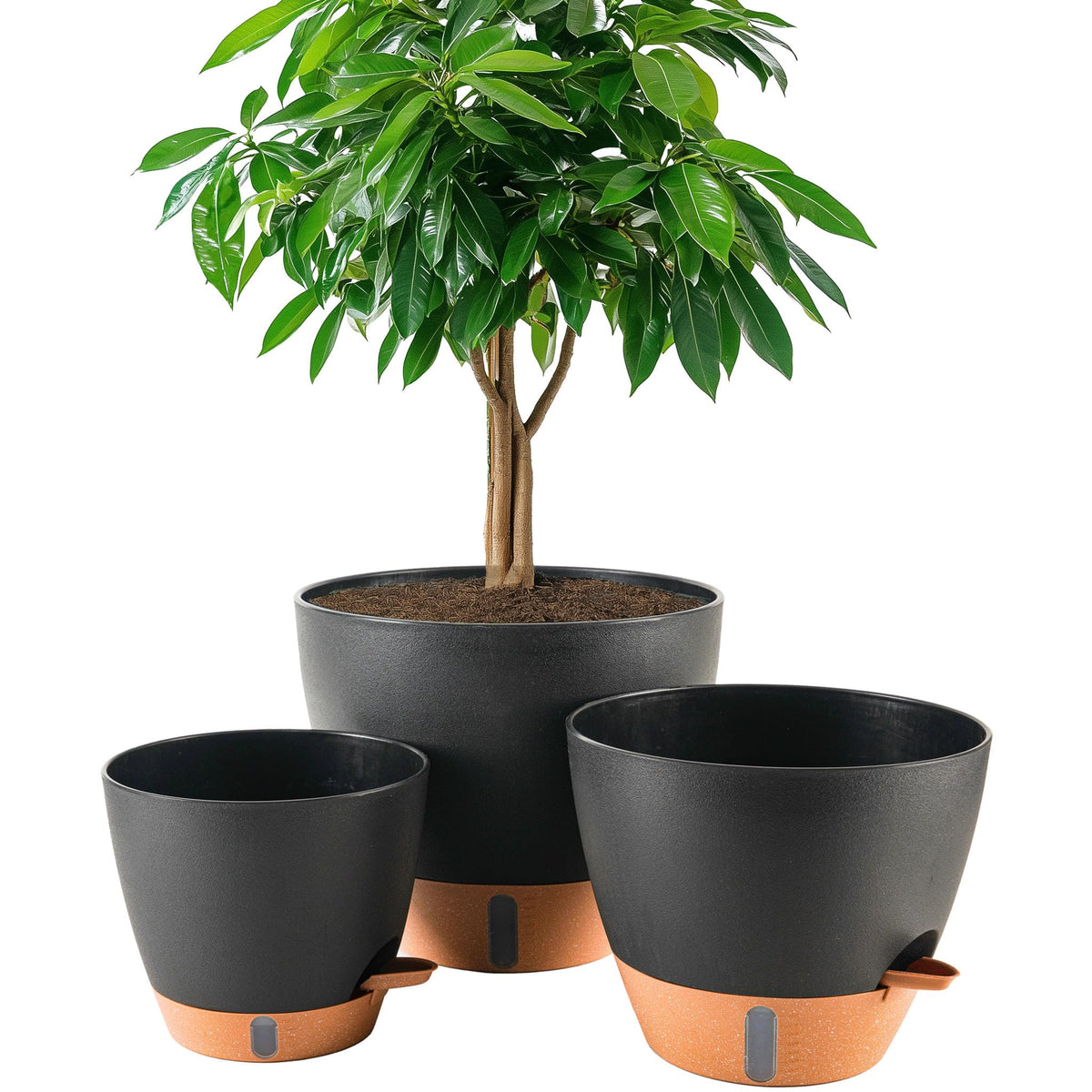 Fielda front view 10-inch planter showing clean modern profile and stability