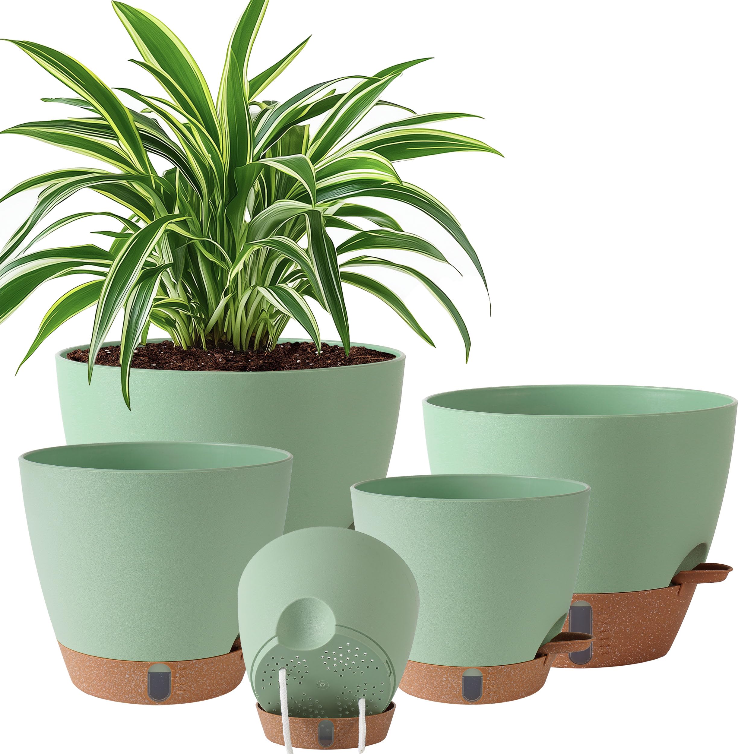 Fielda front view of five-pack planters showing size variety and stylish look