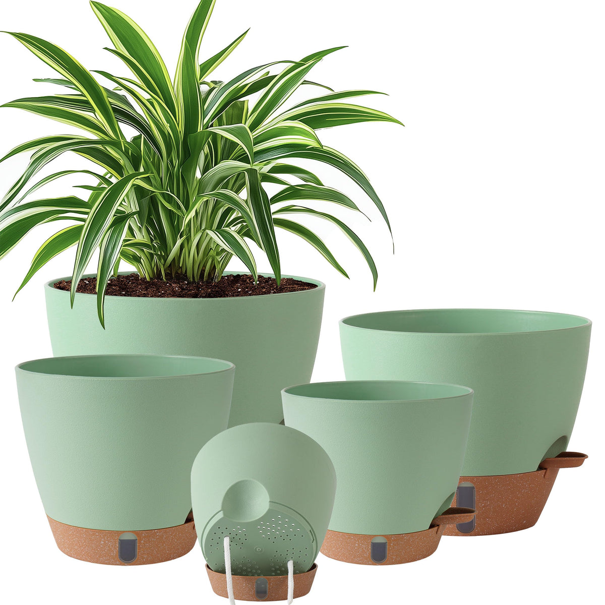 Fielda front view of five-pack planters showing size variety and stylish look