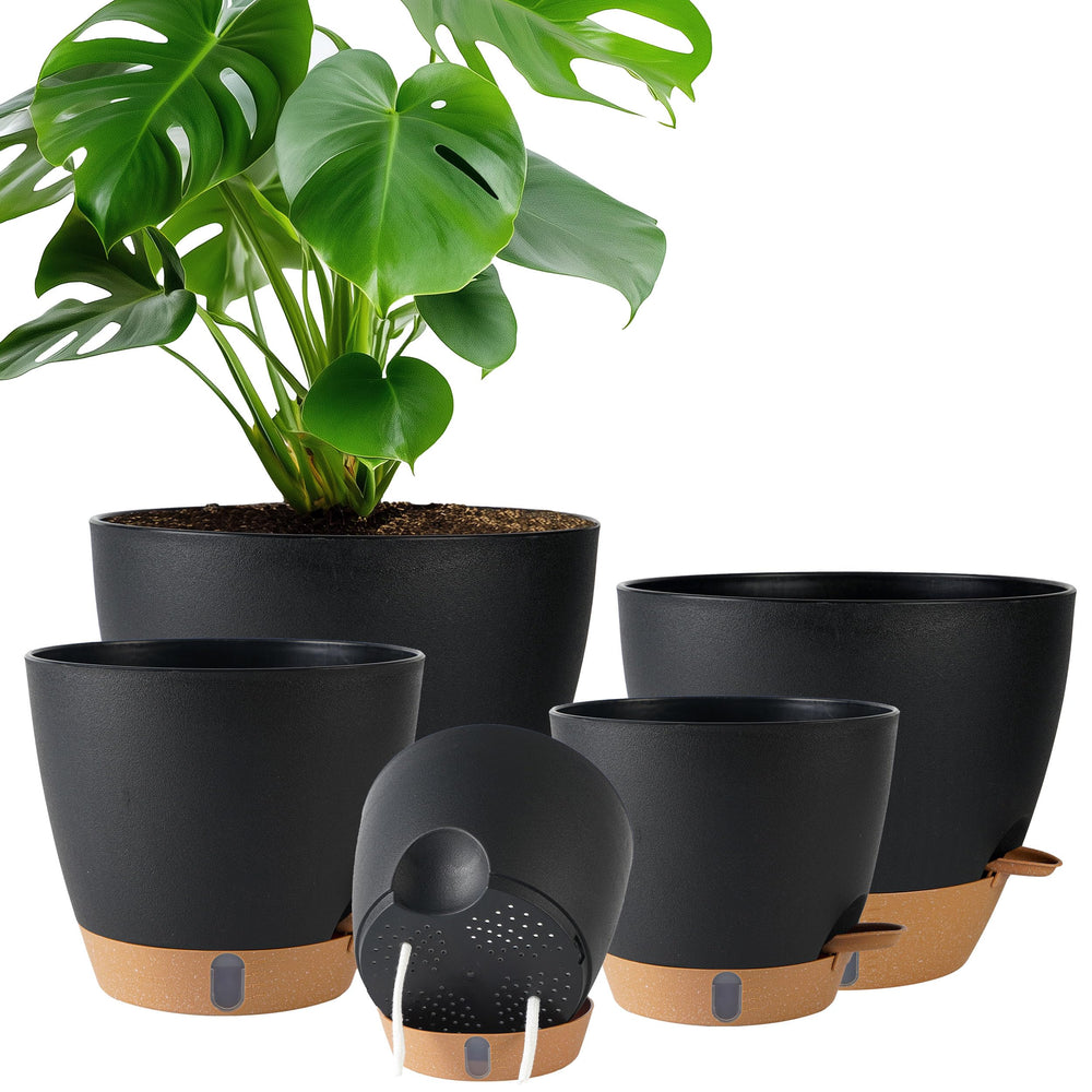 Fielda front view of planter showing sleek design and easy care benefits