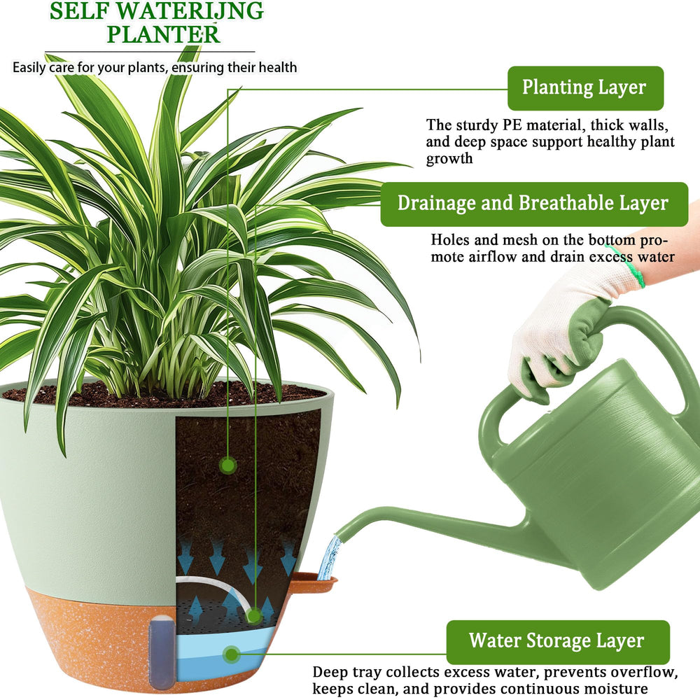 Fielda scale comparison of 8, 10, 12 inch pots for choosing correct plant size