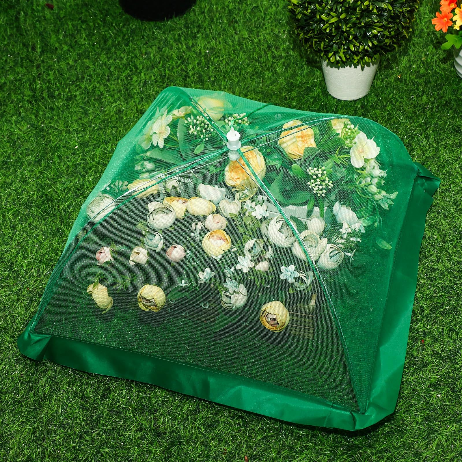 FillTouch dome covering picnic food preventing insects while remaining breathable